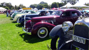 Cords at the concours